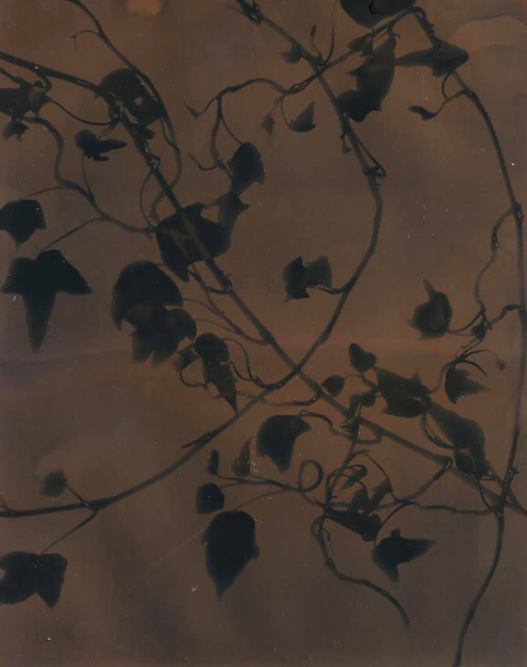 Untitled - Patrick Ballanger