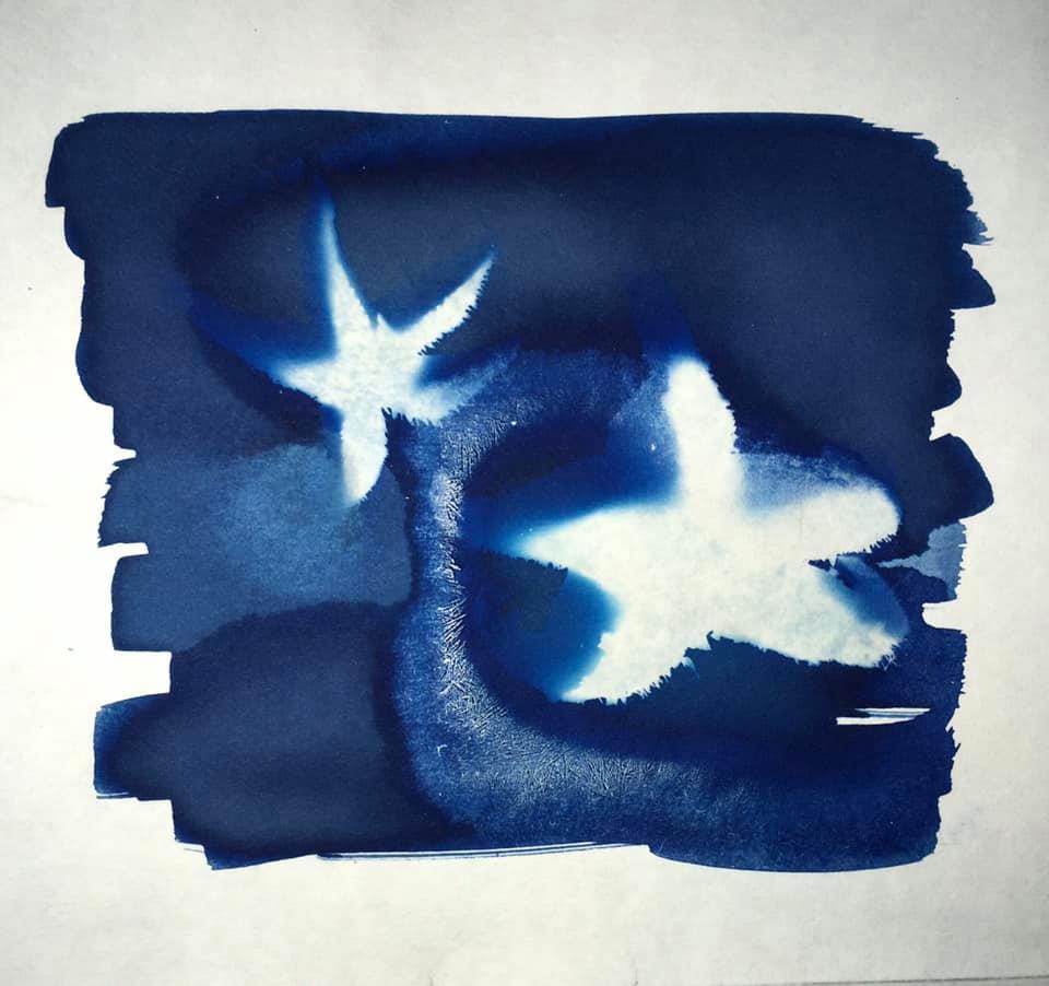 Starfish -  Cliff Barnes