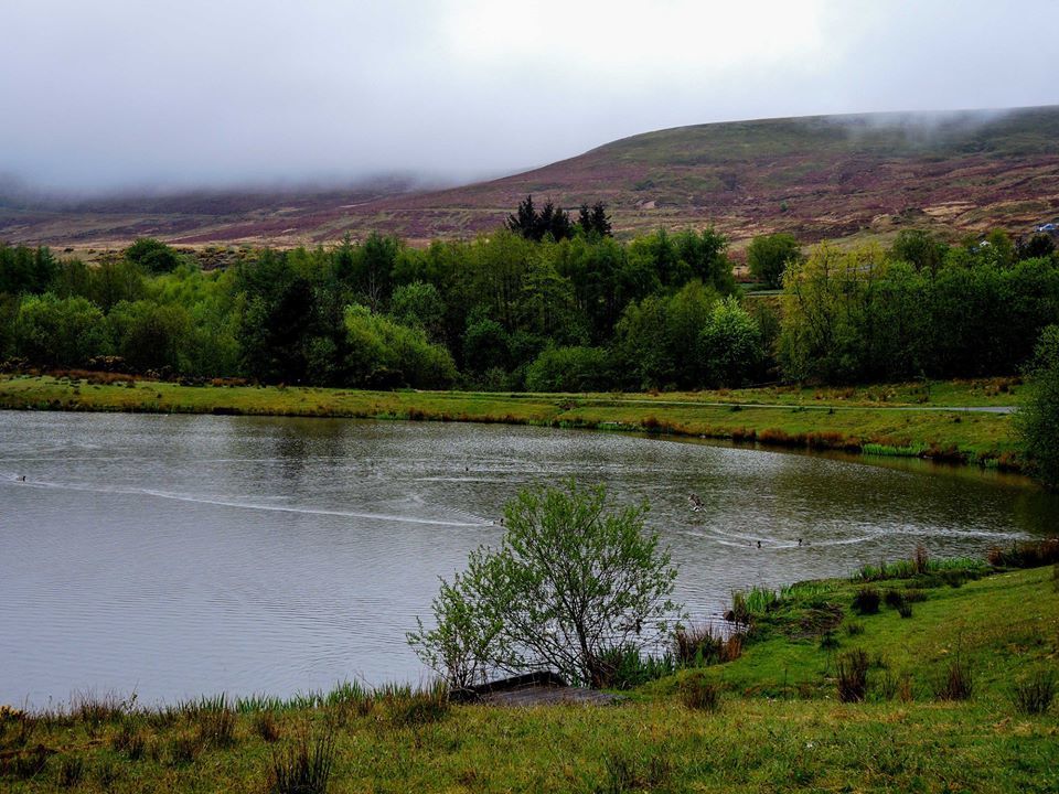 Today's social distancing dog walk. - Toby Vandevelde