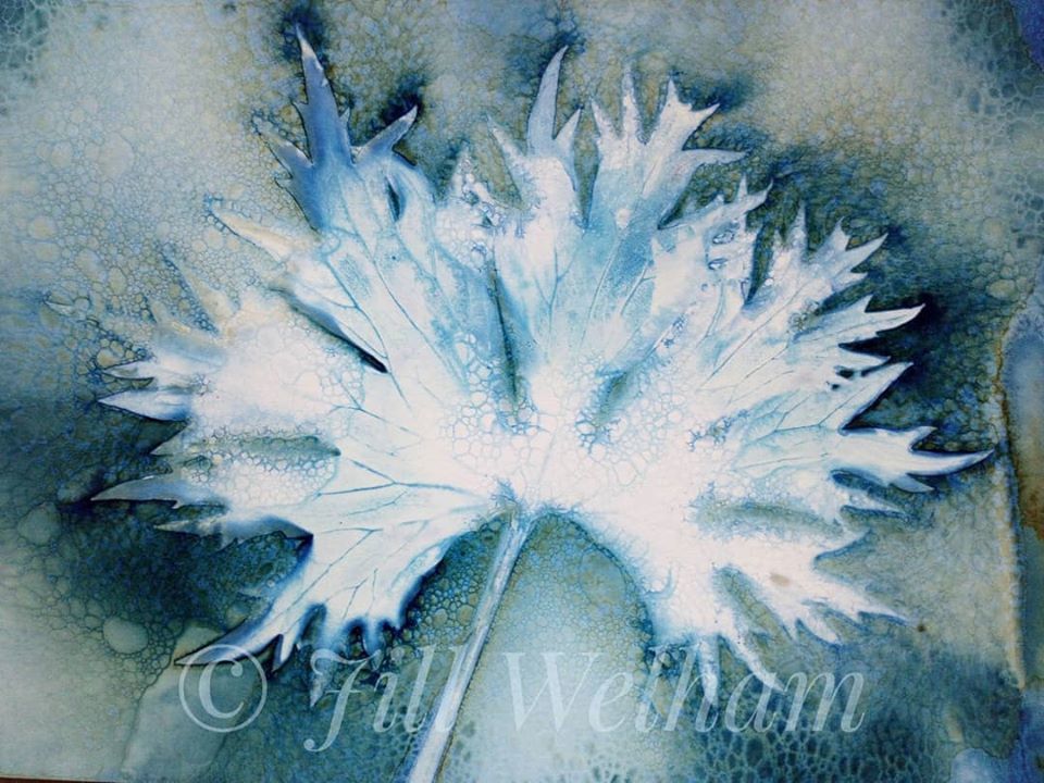 Untitled - Jill Welham