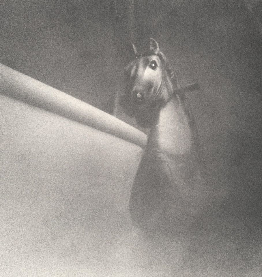 This Horse Rocks. - Hilary Clarke