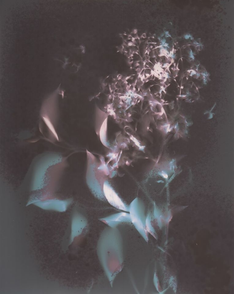 Untitled - Emilie Grand-Clement - Lumen from week 6 (sorry Moo Pa if I'm making things complicated 🙄😬)