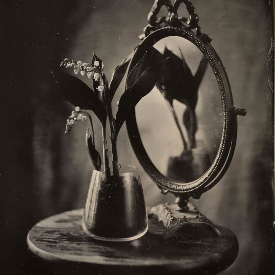 Untitled - Ding Gerous - MAYFLOWER. One more victim of the lockdown is the beautiful French tradition of offering 'Muguet' to celebrate the first of May or Labor Day. Made several plates of it today to share with you all.
Be well.
13x18cm Bohemian black glass ambrotype, Thorton Pickard camera with a no name petzval lens.