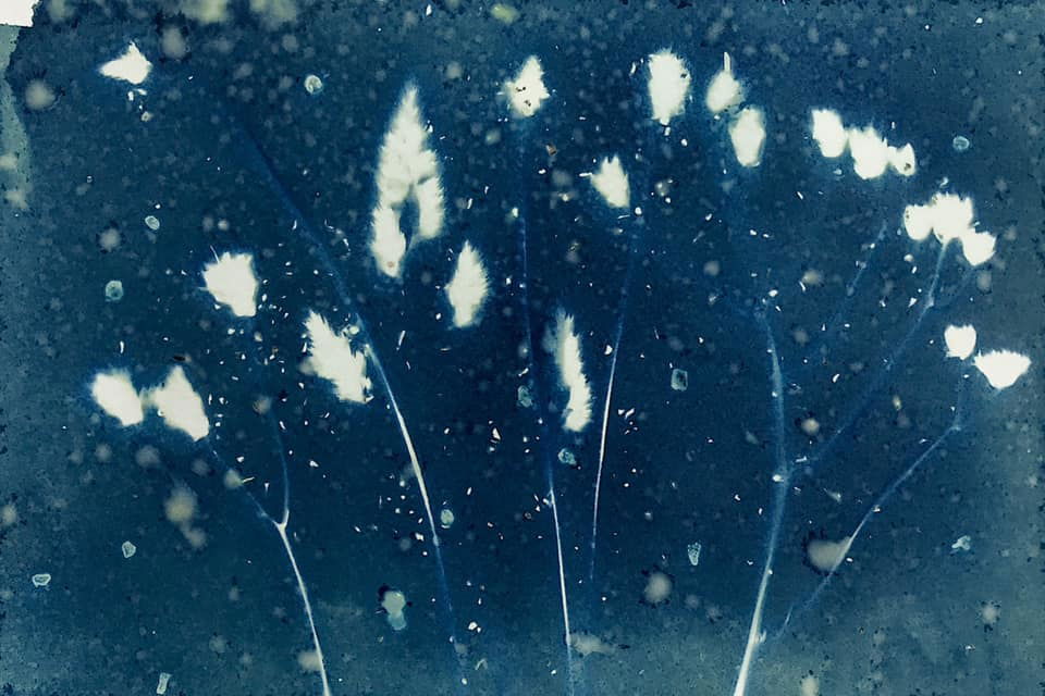 Sparklers & fireflies - Meredith Wilson