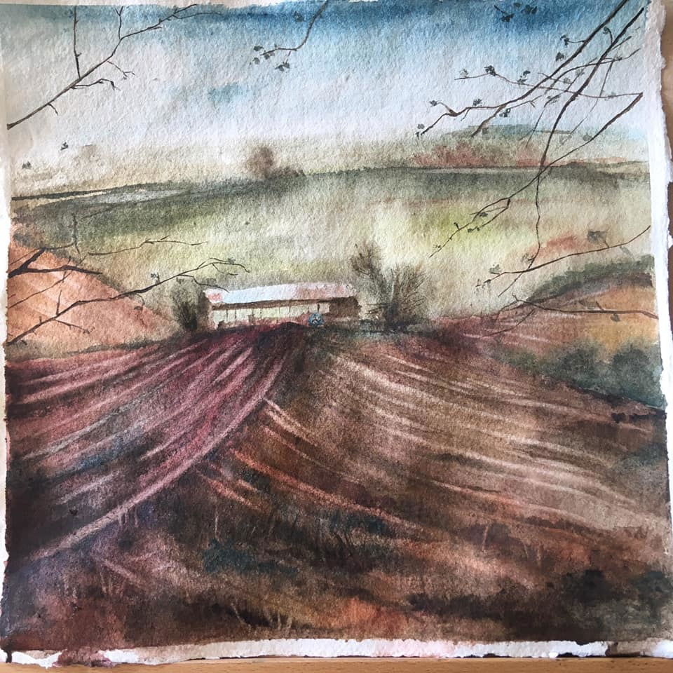 Untitled - Claire Lucas