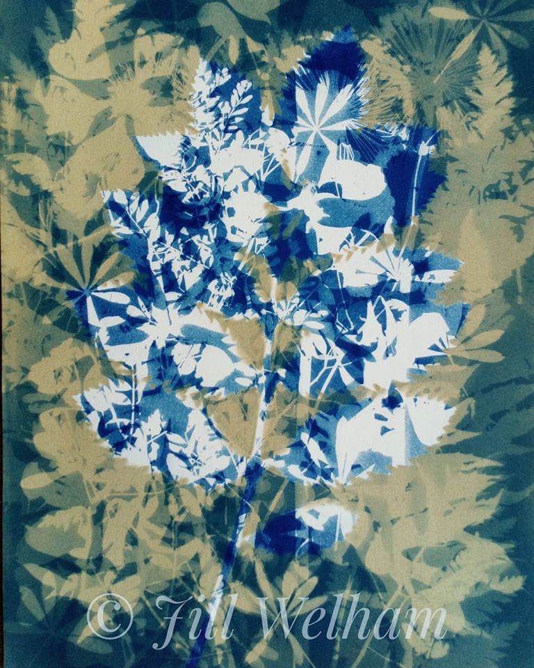 At North Yorkshire - Jill Welham