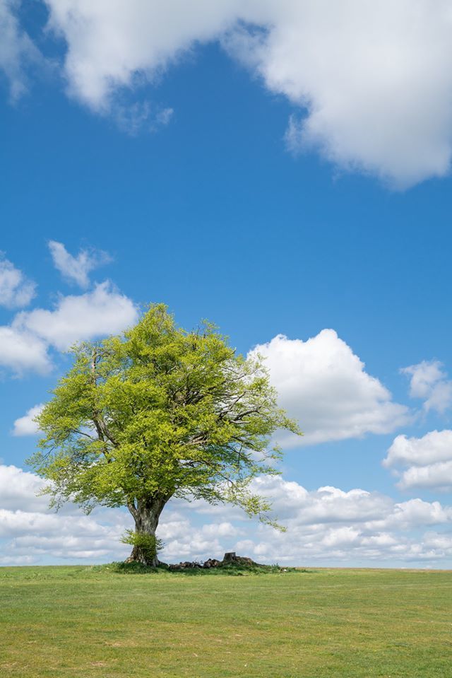 Dunkeswell Air Field. 02.05.20. - Andy Thatcher