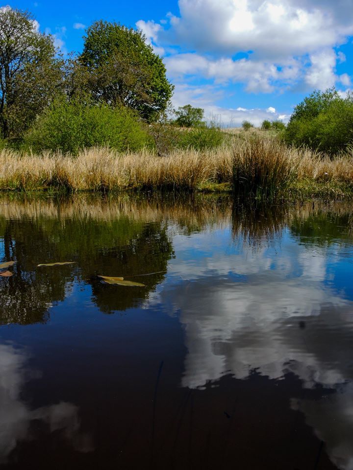 Clouds in the pond. - Toby Vandevelde