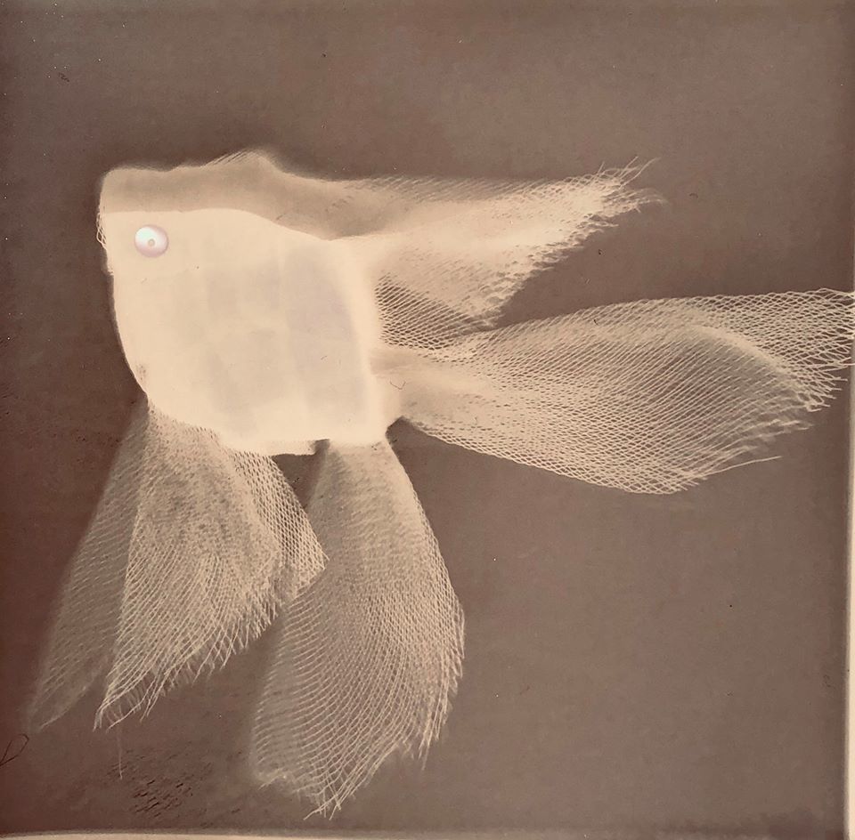 Untitled - Nicola Williams