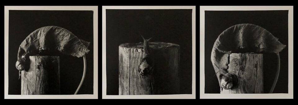 Untitled - Ionut Sinescu