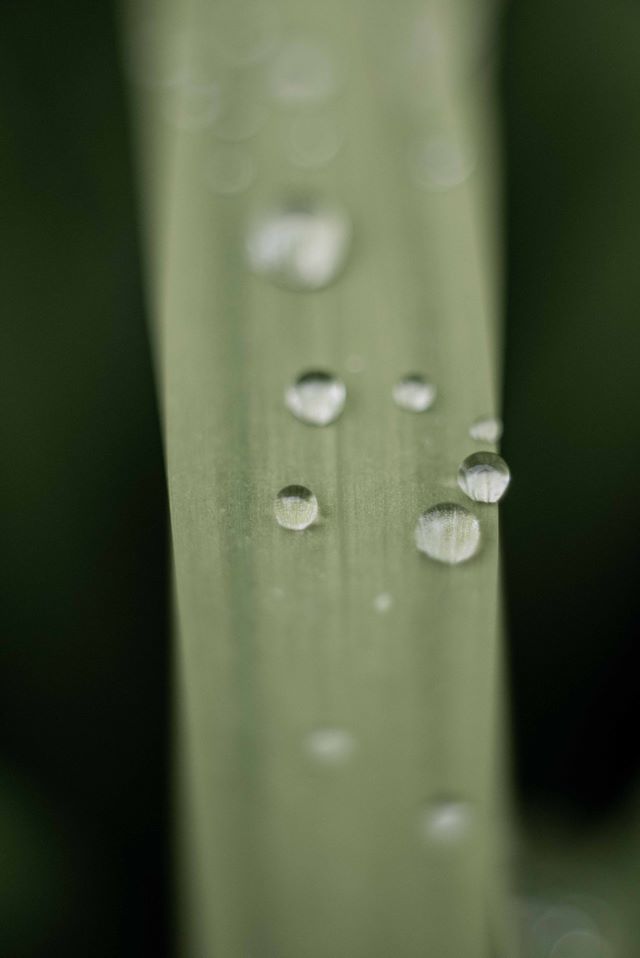 Untitled - Toby Vandevelde