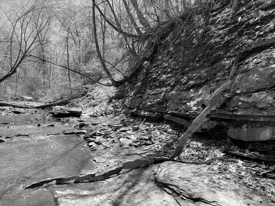 Untitled - Greg Martin