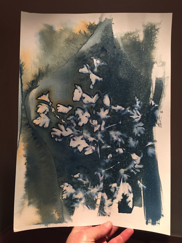 Untitled - Toby Vandevelde