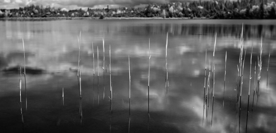 Untitled - Lee Irvie