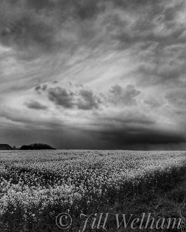 Untitled - Jill Welam