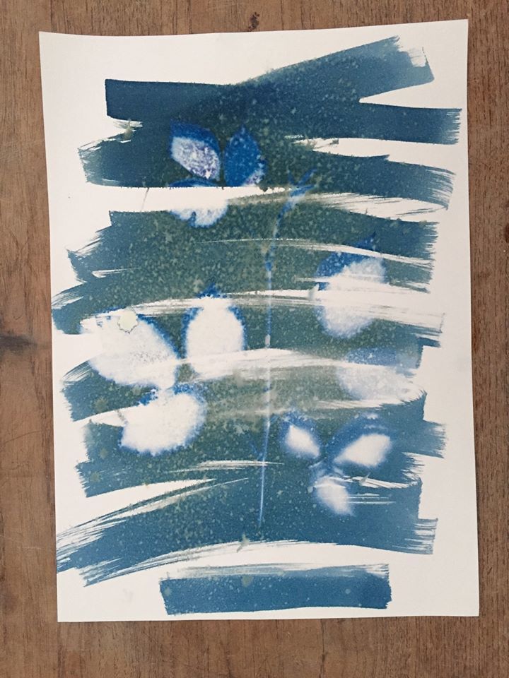 Untitled - Toby Vandeelde