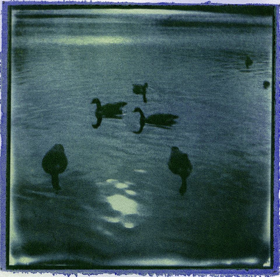 Untitled- John Brewer