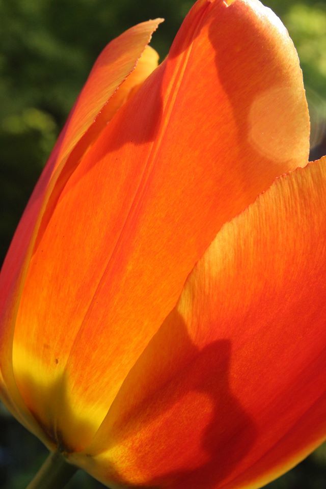Untitled - Bob Peters