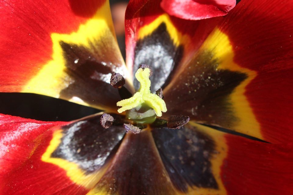 Untitled - Bob Peters