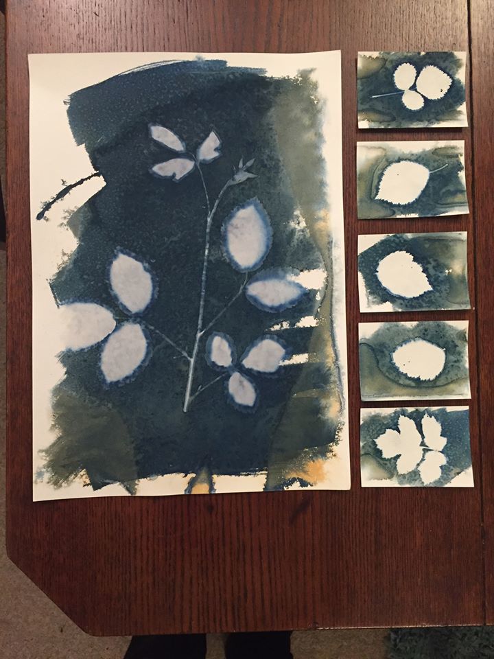 Untitled - Toby Vandevelde