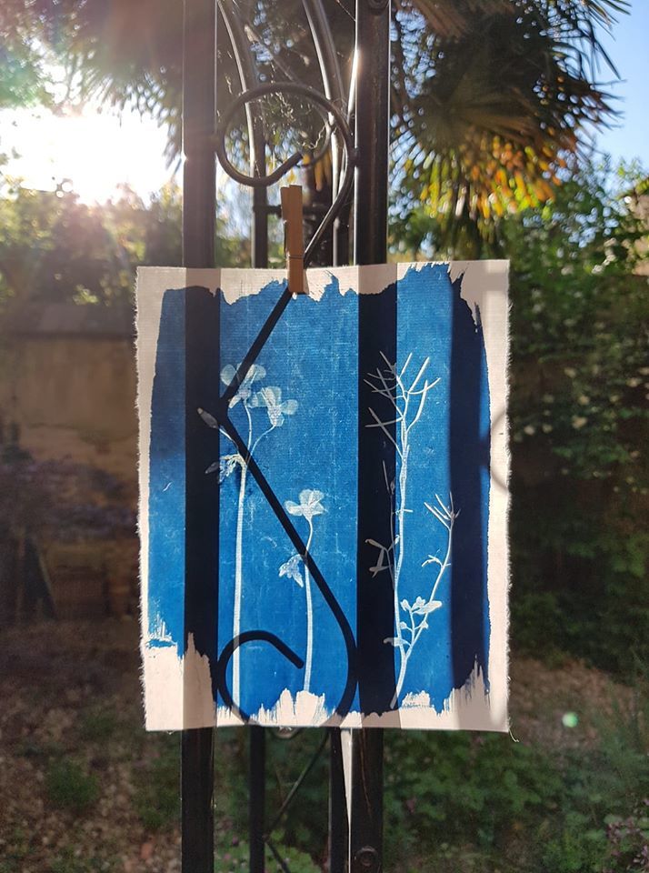 Untitled- Barbara Cattaneo