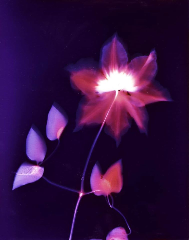 Untitled - Sarah Darke