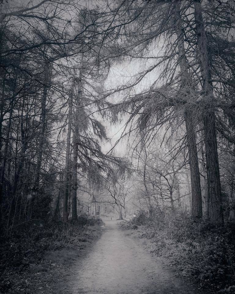 Untitled - Meredith Wilson