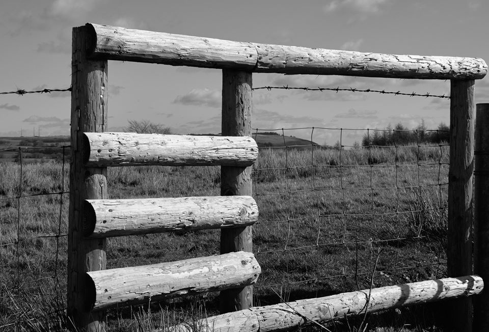 'Up on the hill - Toby Vandevelde