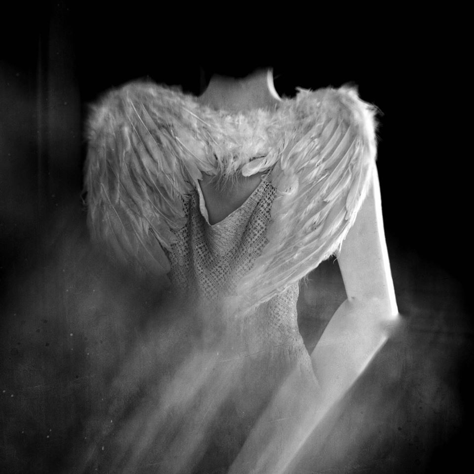 Untitled - Diane Peteson