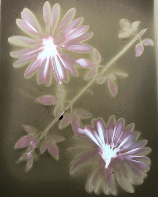 Untitled - Nicola Williams