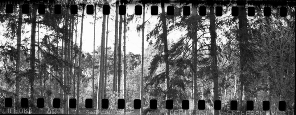 Untitled - Cliff Barnes