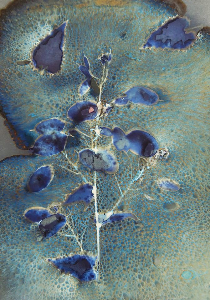 Untitled - Emma Wheeler