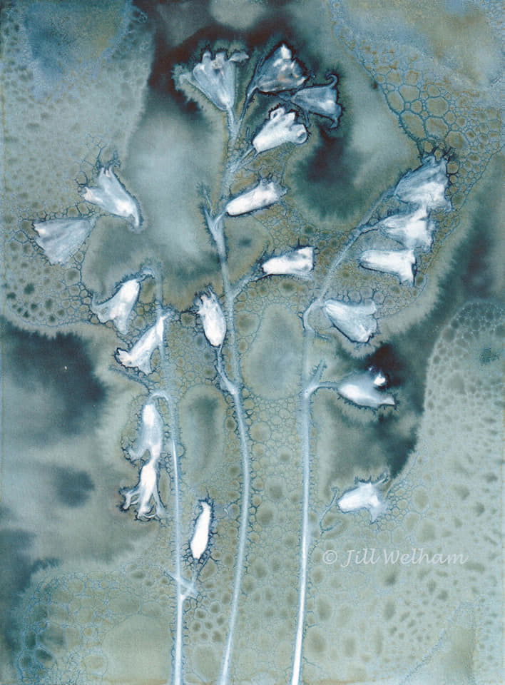 Untitled - Jill Welham