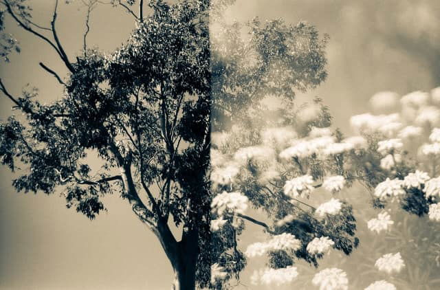 Untitled - Hilary Clarke