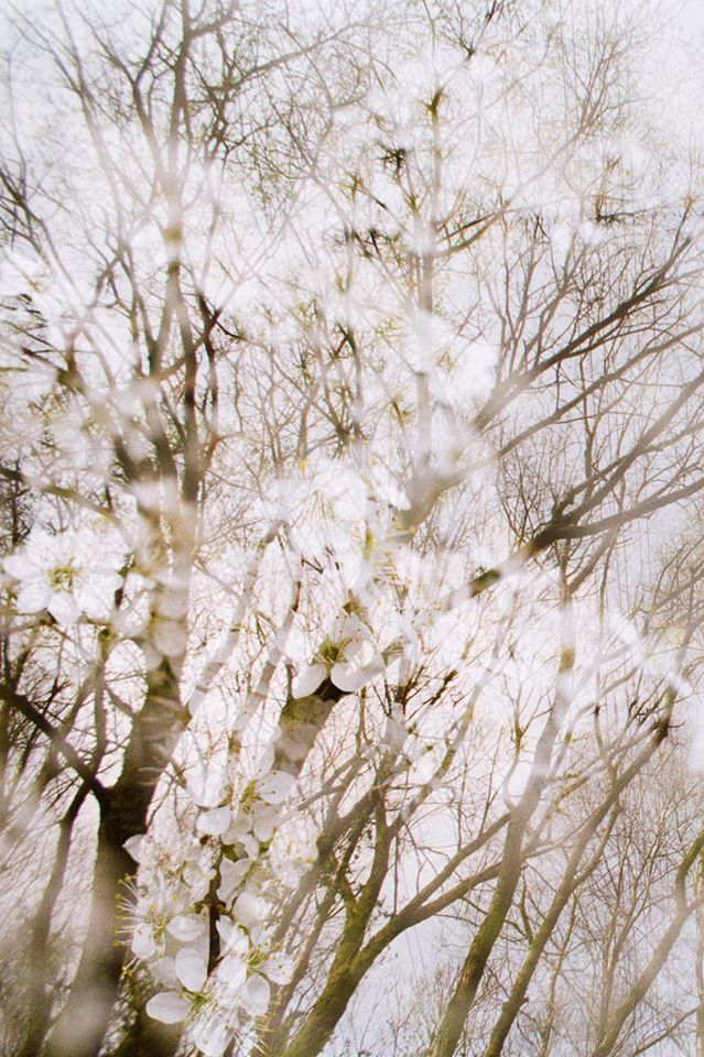 Untitled - Hilary Clarke