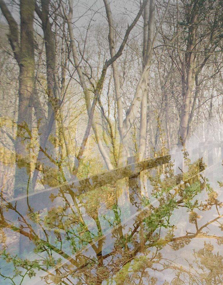 Untitled - Hilary Clarke