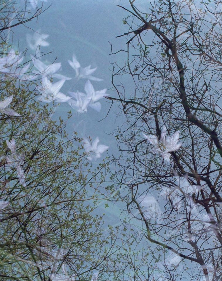 Untitled - Hilary Clarke