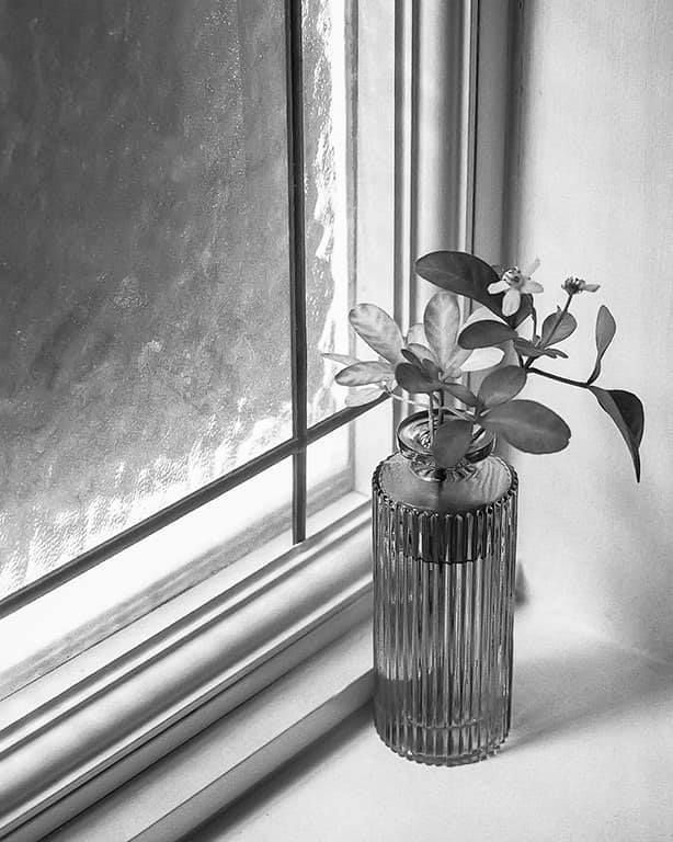 ‪Sprig‬ - Meredith Wilson