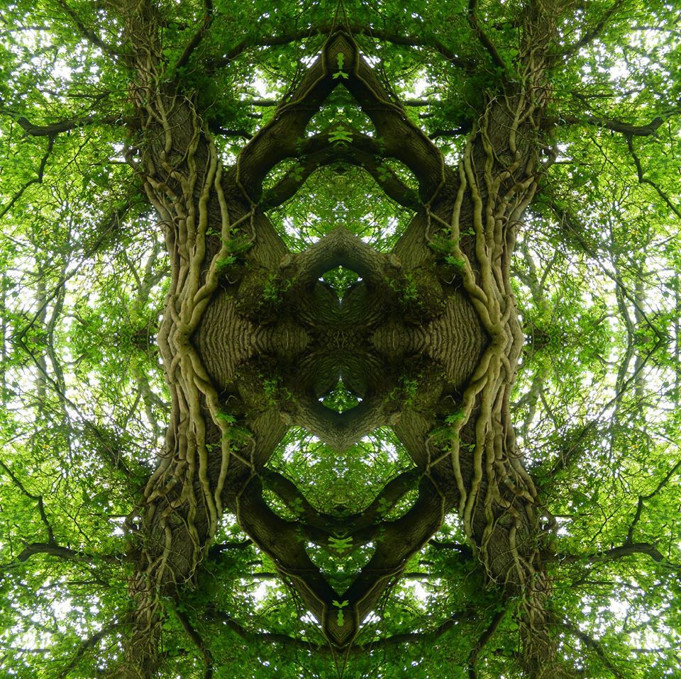 A bit of mirroring around... - Syl Vie