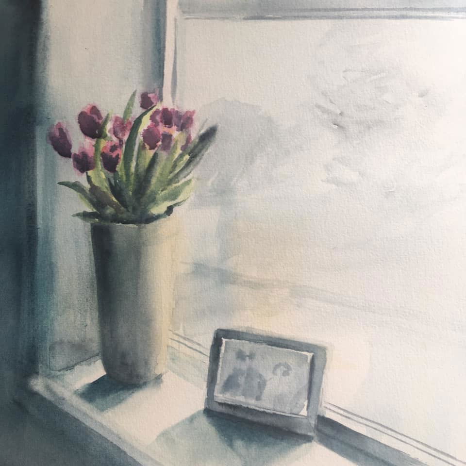 Playing with light and shade today. - Claire Lucas