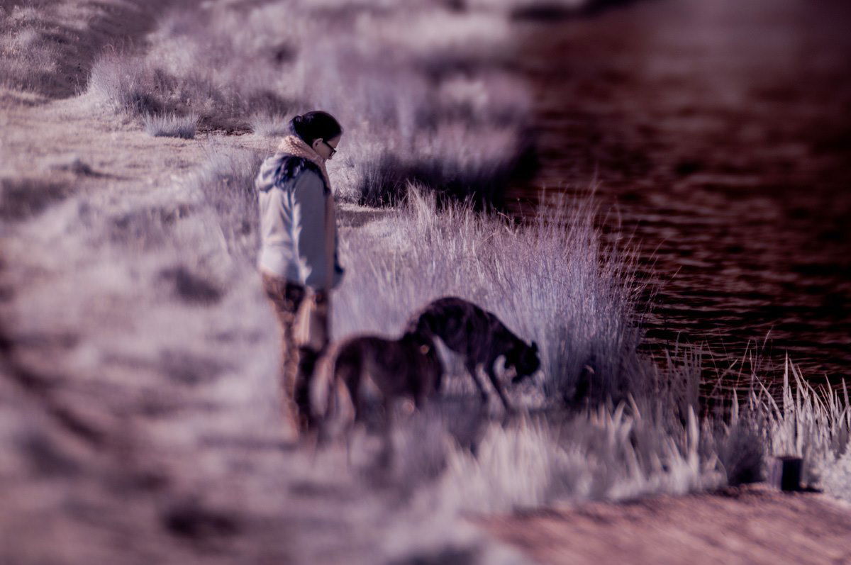 Untitled - Toby Vandevelde
