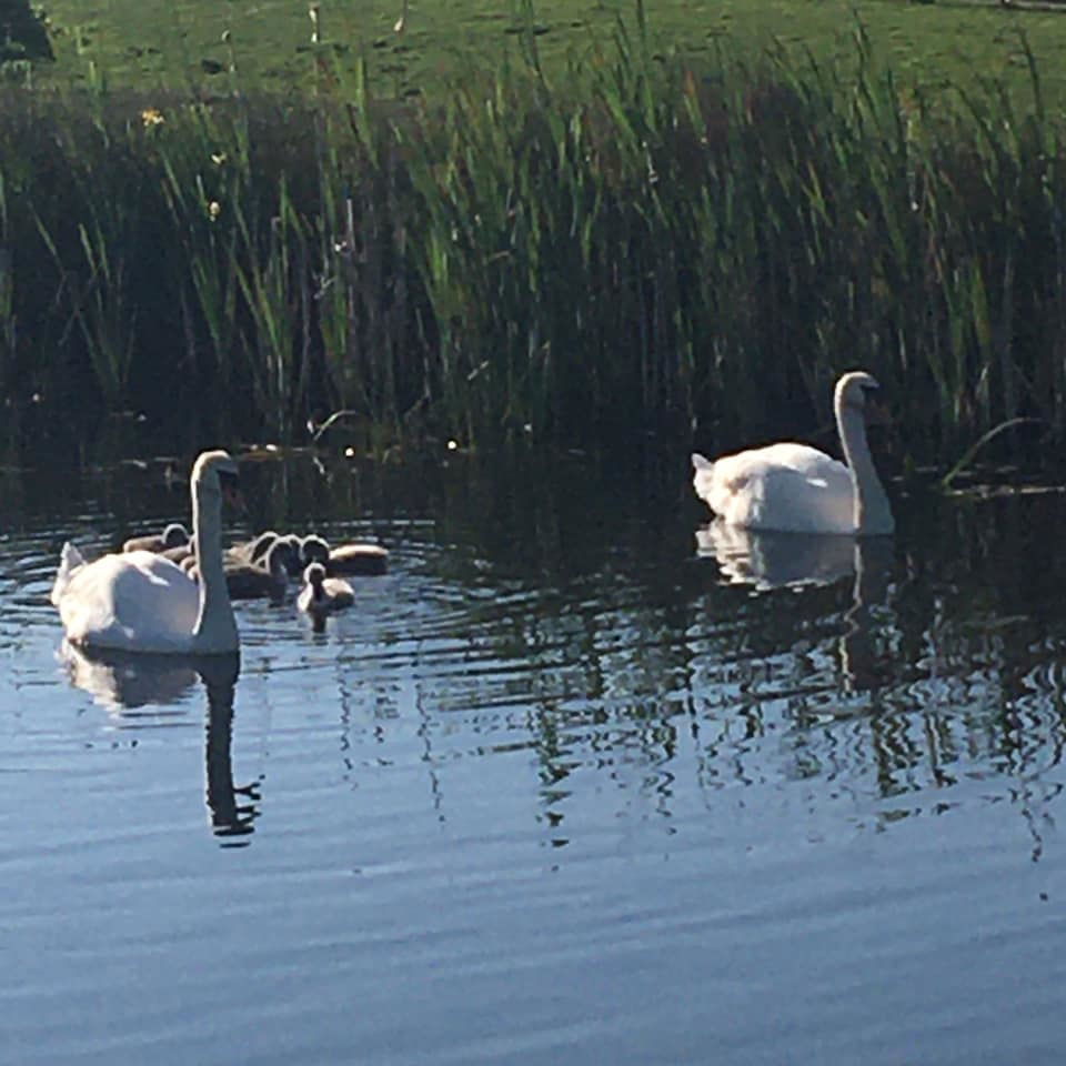 Untitled - Claire Lucas