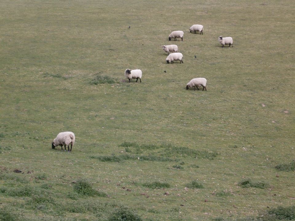 Herd it all before. - Niall Butterfeilld