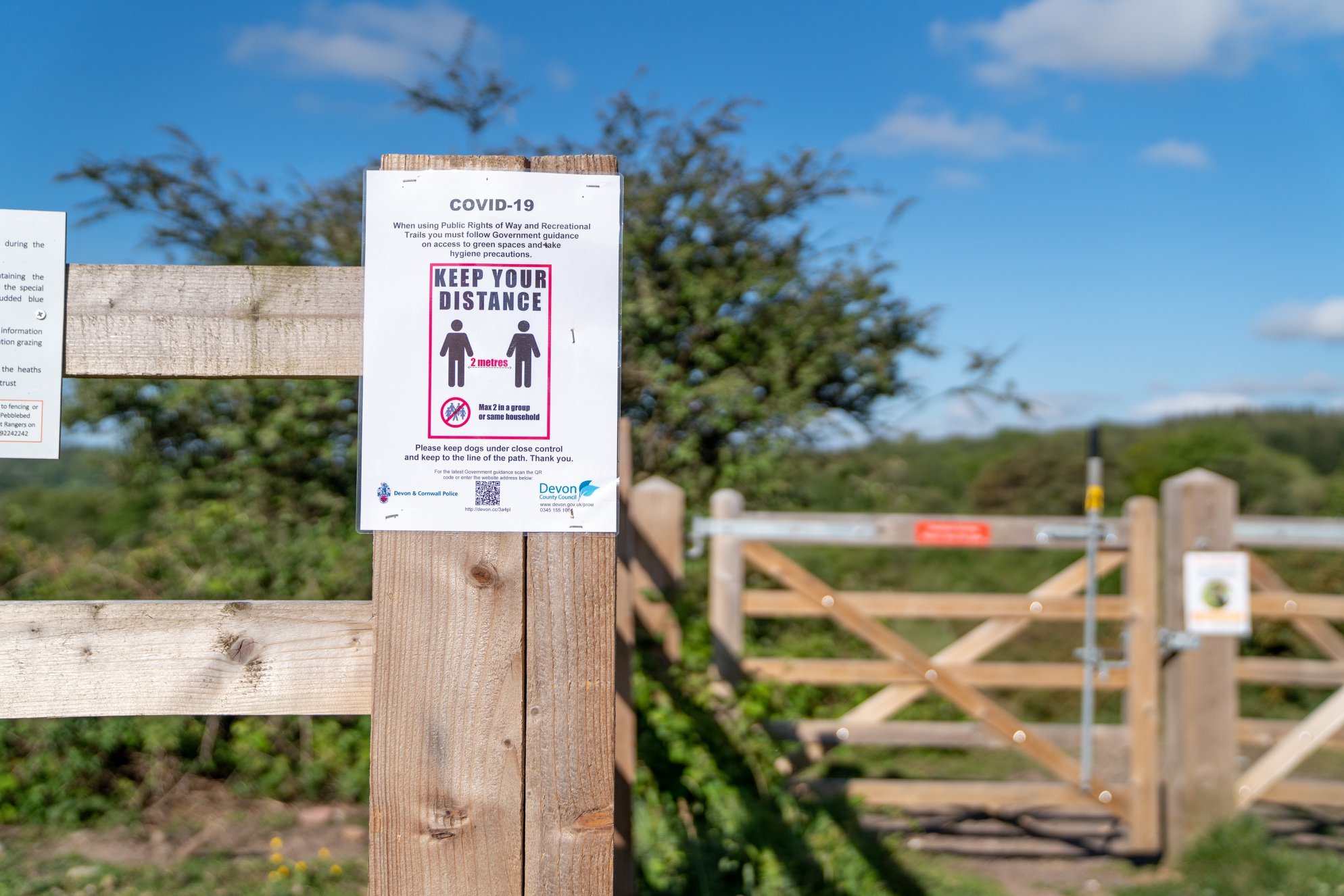 Harpford Common. 13.05.20. - Andy Thatcher