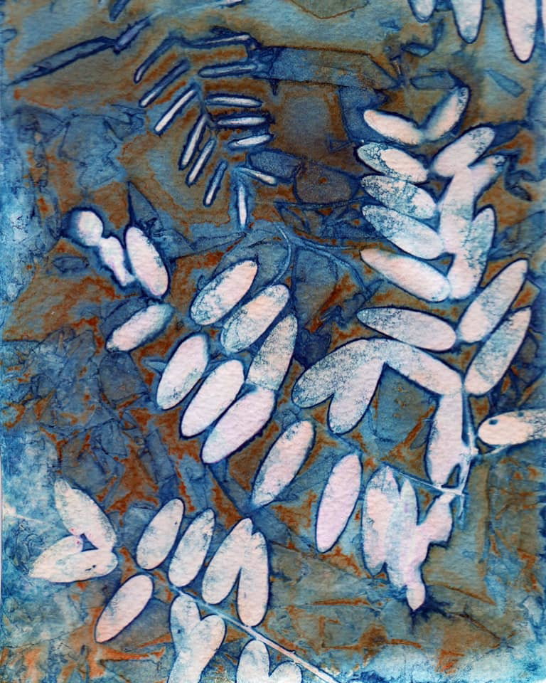 Wild sweet peas, wet cyanotype. - Kate Horsley Brewer