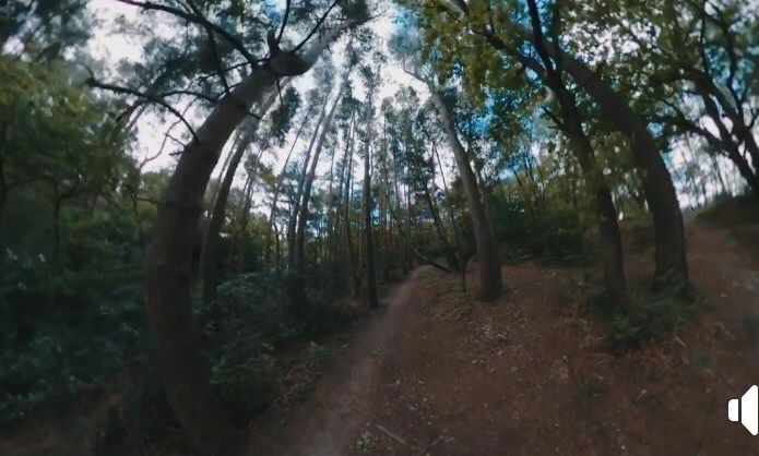 Caesar's camp Youtube video - Daniel Cook