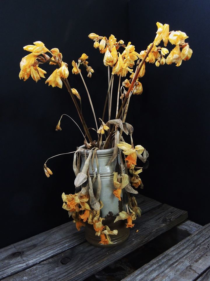 Mother’s Day Daffodils.  They are leftovers.  - Toby Vandevelde