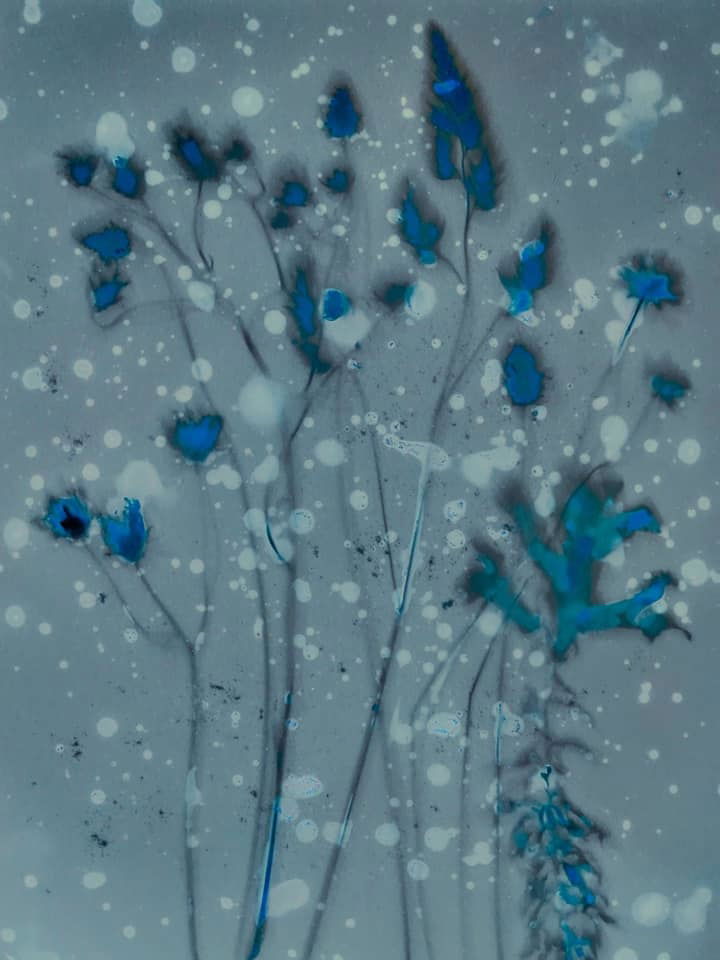 Lumen - Meredith Wilson