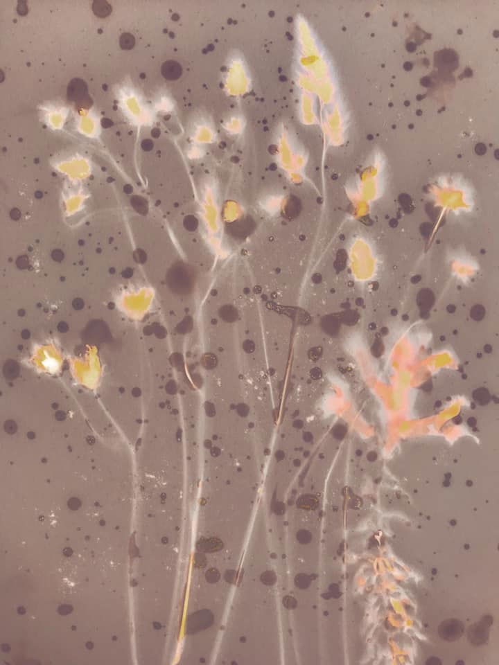 Lumen - Meredith Wilson