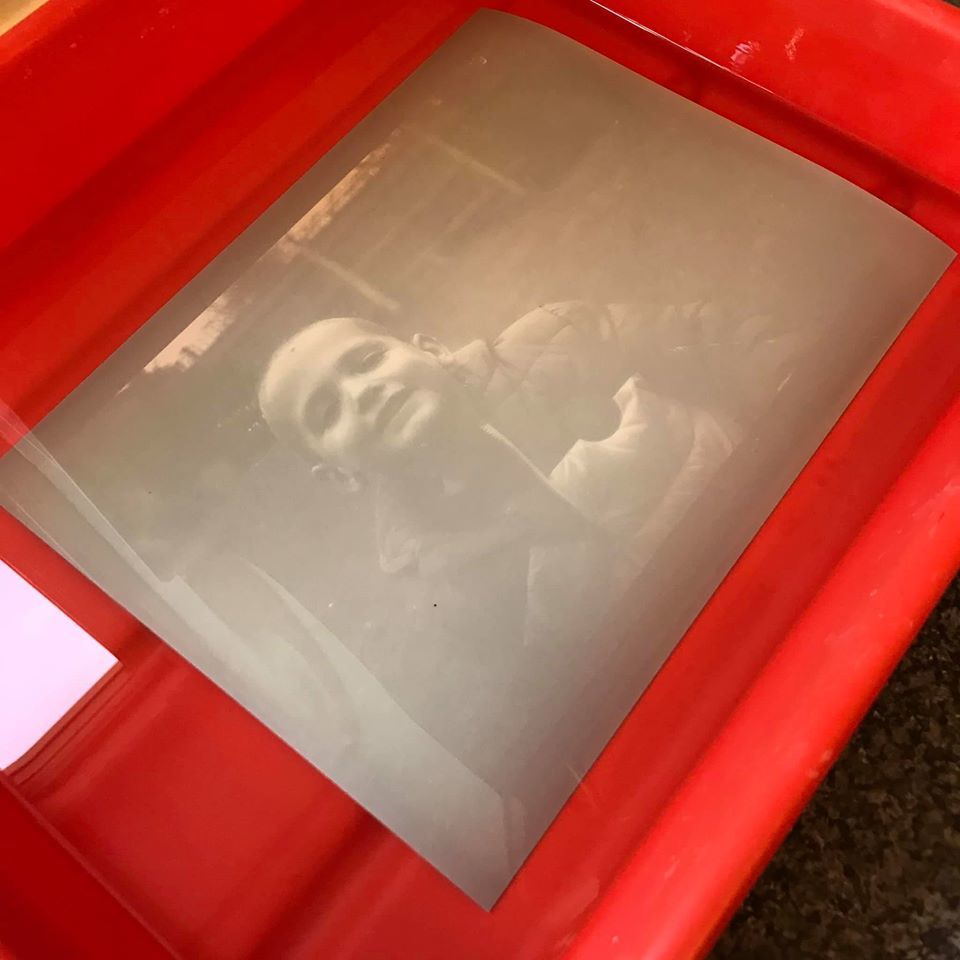 Lumen print - Neil Piper